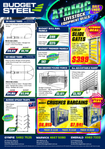 Budget Steel Atomic Sale brochure with livestock equipment, panels, ramps and cattle handling products