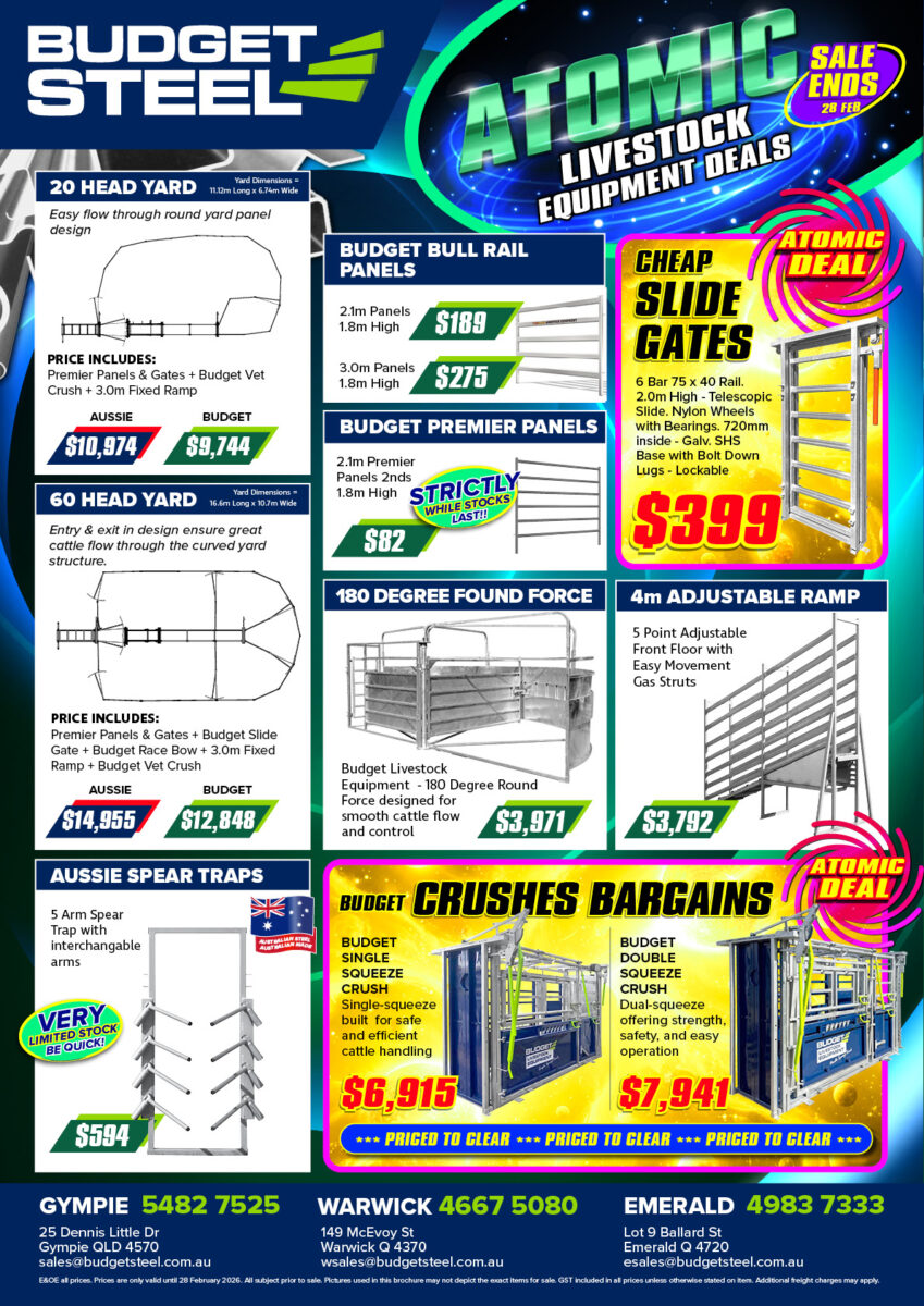 Budget Steel Atomic Sale brochure with livestock equipment, panels, ramps and cattle handling products